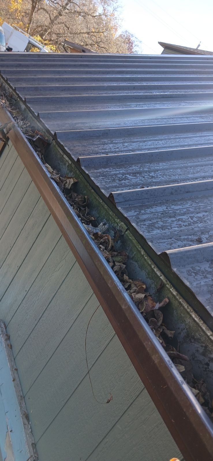 Metal roof with gutter filled with dry leaves and debris, beside a wooden building wall.