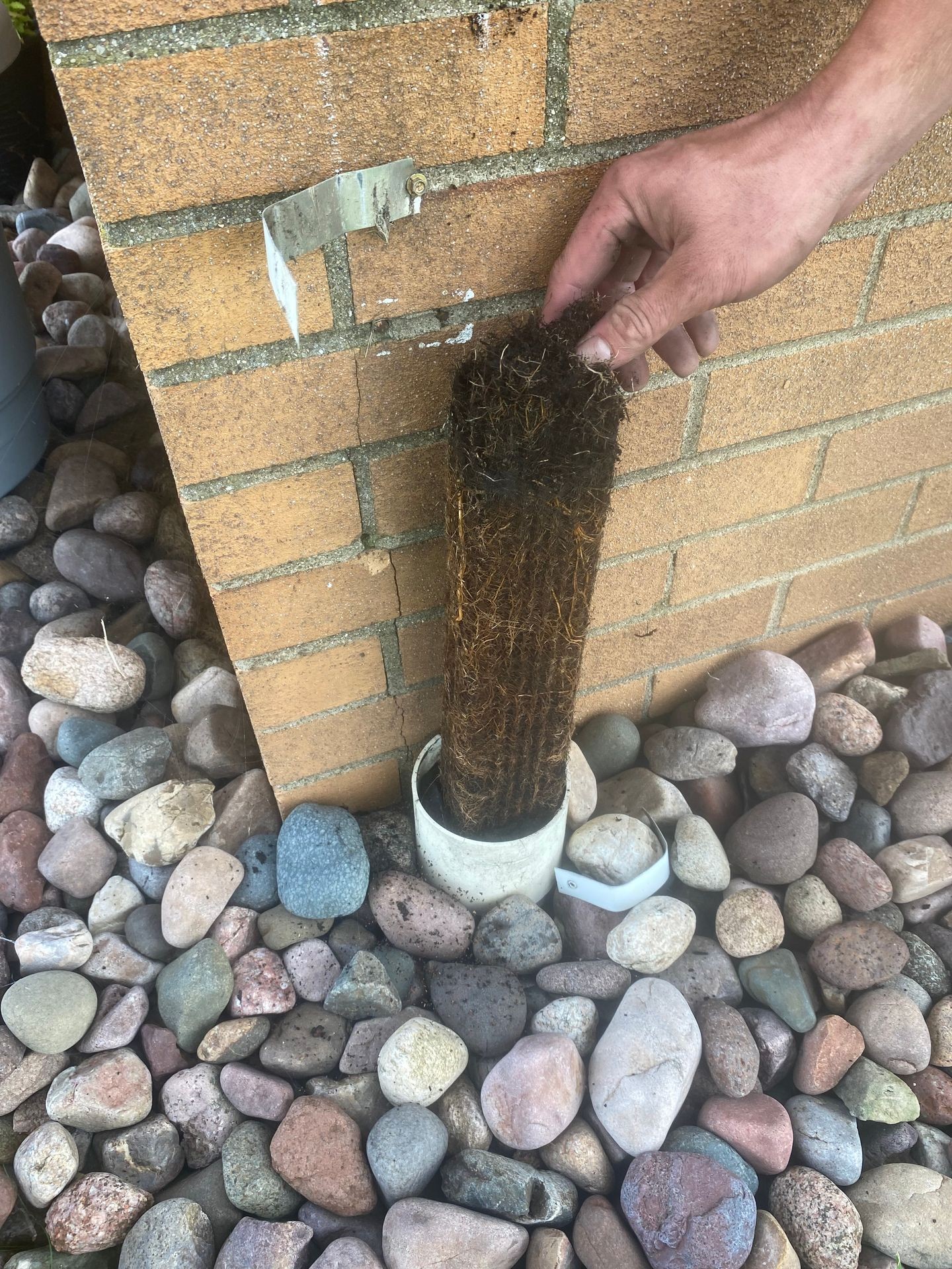 Hand pulling a cylindrical filter from a pipe near a brick wall surrounded by pebbles.