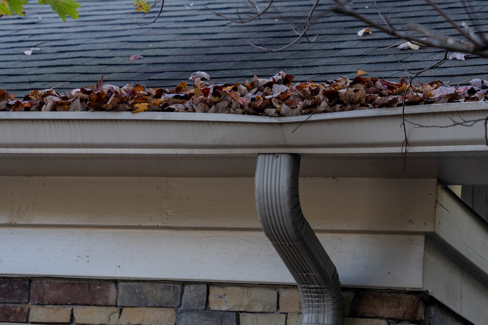 Gutters needing cleaning